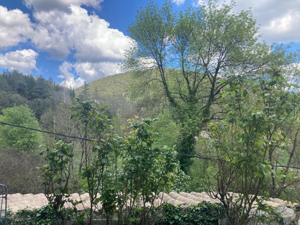Chambres Et Gite En Cevennes Cros  ภายนอก รูปภาพ